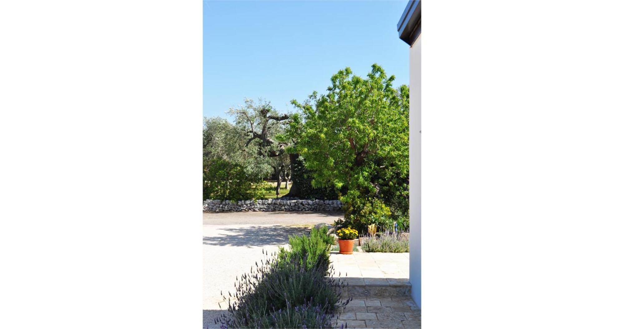 Casale Petrarolo Bed & Breakfast Монополи Екстериор снимка